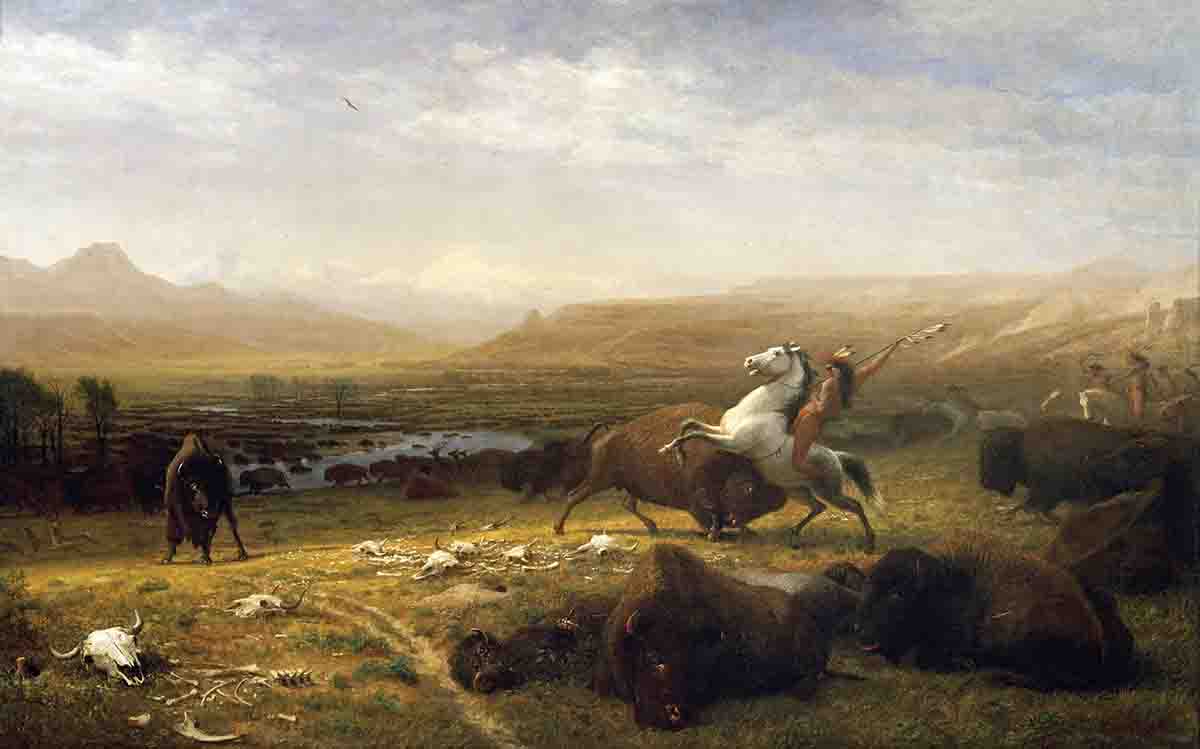 The Last of the Buffalo by Albert Bierstadt, 2nd Version. Courtesy Whitney Western Art Museum